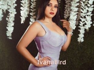 IvanaBird