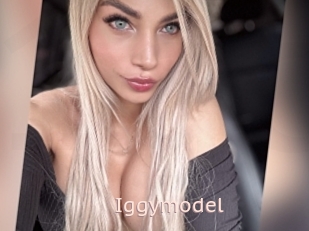 Iggymodel
