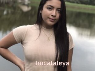 Imcataleya