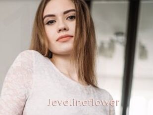 Jevelineflower