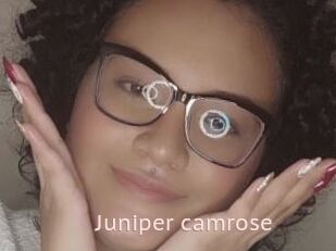 Juniper_camrose