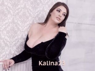 Kalina23