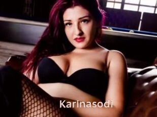 Karinasodi