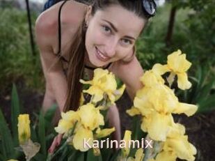 Karinamix