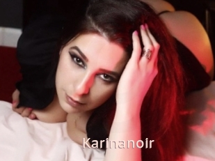 Karinanoir