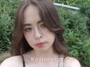 Kaylenebrog