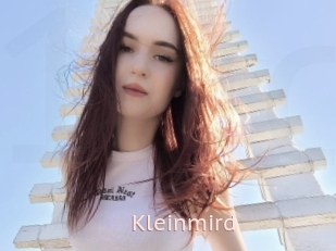 Kleinmird