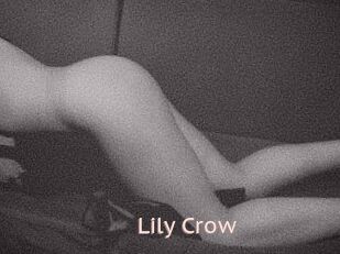 Lily_Crow