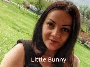 Little_Bunny_