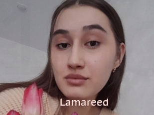 Lamareed
