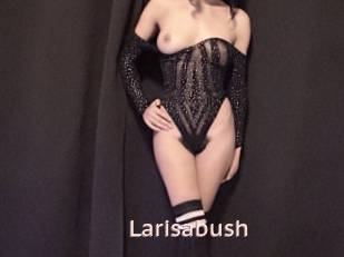 Larisabush