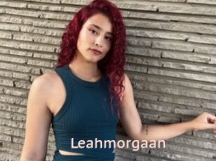 Leahmorgaan
