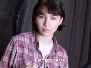 Leanakeys