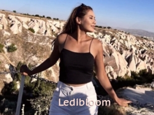 Ledibloom