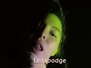 Leilabodge