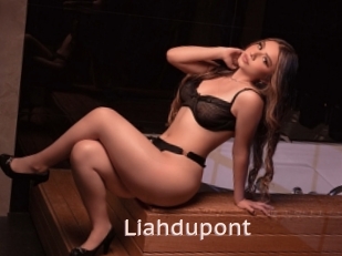 Liahdupont
