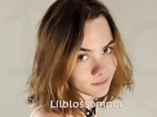 Lilblossompet