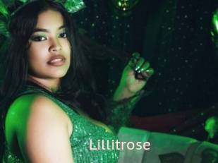 Lillitrose