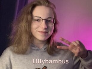 Lillybambus