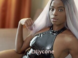 Lillycone