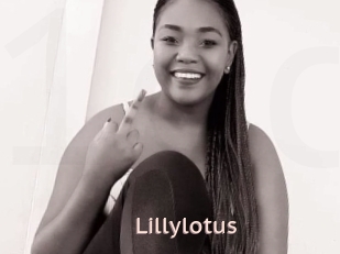 Lillylotus