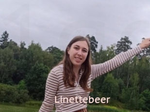 Linettebeer