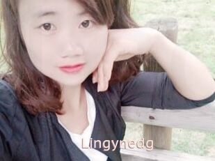 Lingynedg