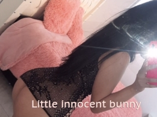 Little_innocent_bunny
