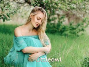 Littleowl