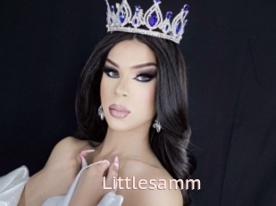 Littlesamm
