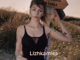 Lizhkamics