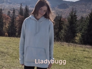 Lladybugg