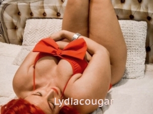 Lydiacougar