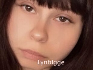Lynbigge