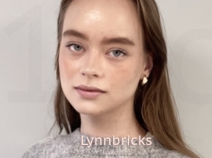 Lynnbricks