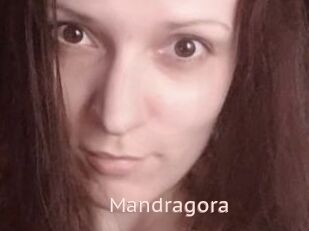 Mandragora