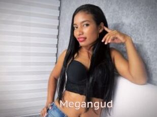 Megangud