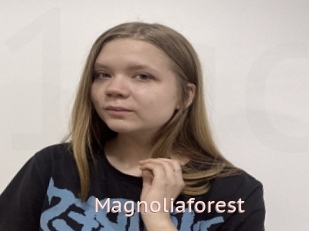 Magnoliaforest
