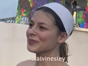 Malvinesley