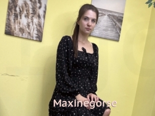 Maxinegorse
