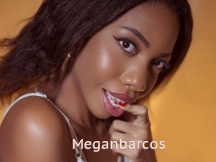 Meganbarcos