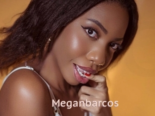 Meganbarcos