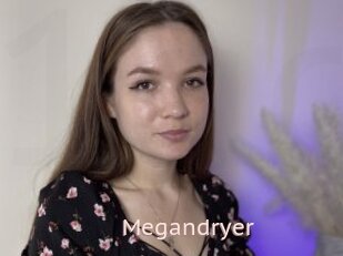 Megandryer