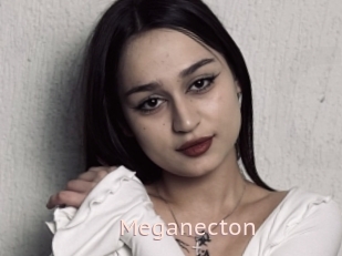 Meganecton