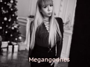 Megangodnes