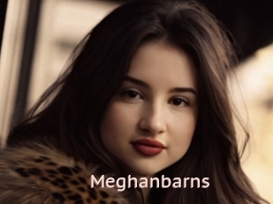 Meghanbarns