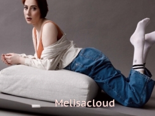 Melisacloud