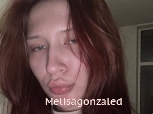 Melisagonzaled