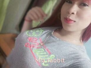 Mia_rabbit
