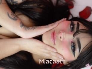 Miacaat